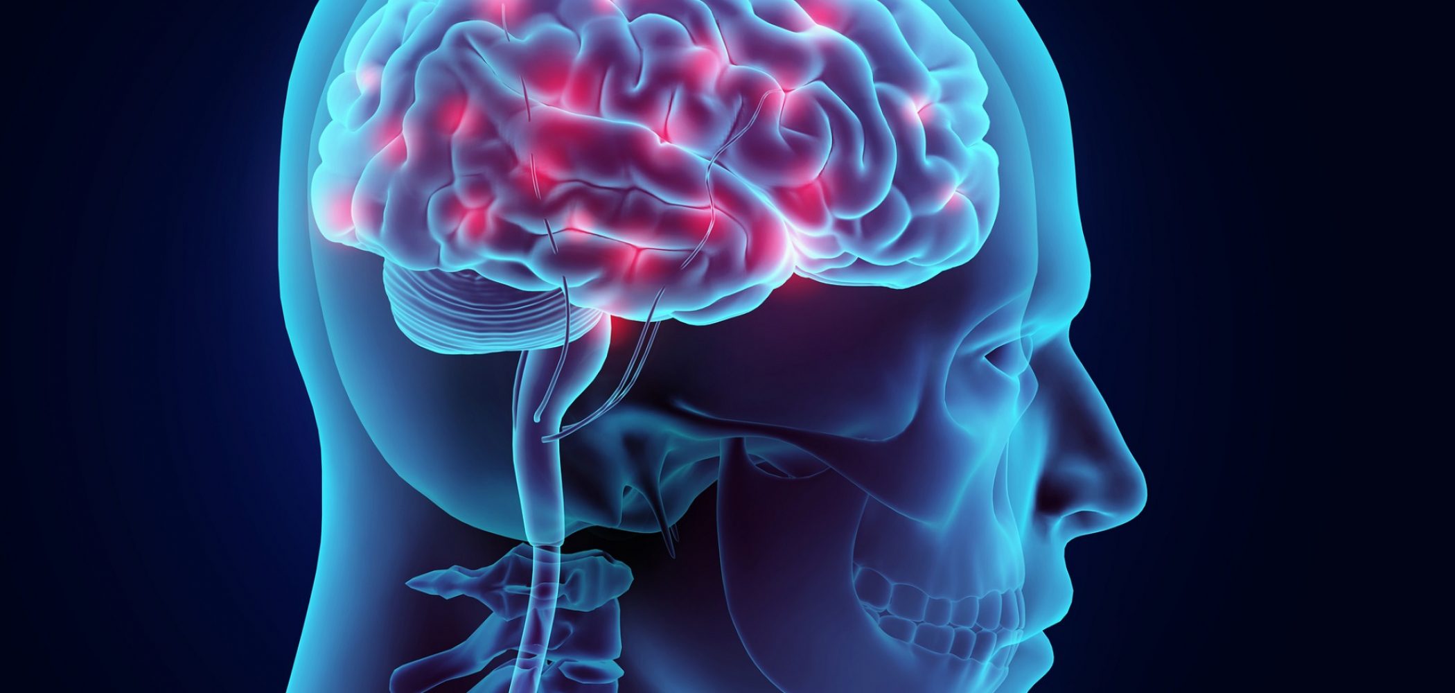 3D illustration brain nervous system active, medical concept.