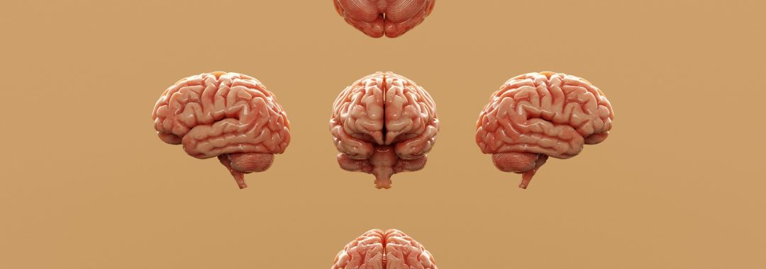 https://unsplash.com/photos/various-perspectives-of-a-human-brain-are-displayed-vd-JLio94Wo?utm_source=unsplash&utm_medium=referral&utm_content=creditShareLink